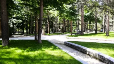 Parco del Castello, AQ: rissa tra un gruppo di giovani 3 Parco del Castello