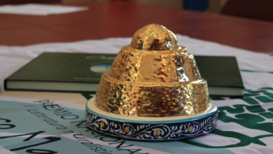 Edizione 2024: tante novità 1 2024