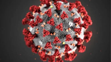 Covid-19 Sintomi nel 2024: Come Riconoscerli e Cosa Fare in Caso di Contagio 9 Covid-19