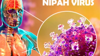 Il Virus Nipah Fa la Seconda Vittima in India: Misure di Emergenza in Kerala