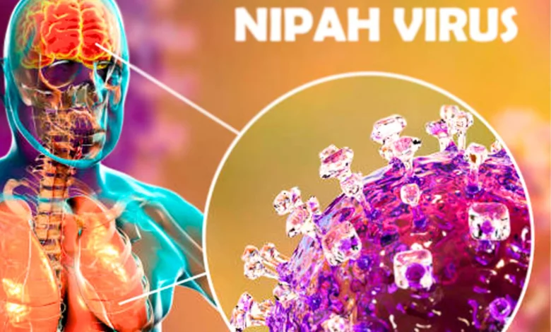 Il Virus Nipah Fa la Seconda Vittima in India: Misure di Emergenza in Kerala 1 Il Virus Nipah Fa la Seconda Vittima in India: Misure di Emergenza in Kerala