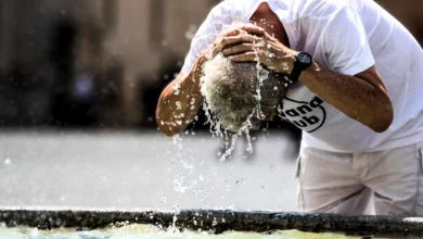 Caldo Eccessivo: Le Cause, le Conseguenze e le Soluzioni per un Futuro più Sostenibile 8 caldo eccessivo