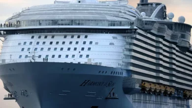 Tragedia sulla Nave da Crociera: Ragazzino Precipita dal Balcone e Muore 4 Tragedia nave da crociera