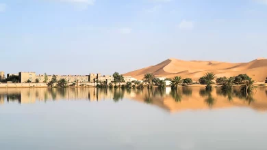 Il Deserto del Sahara Pieno d'Acqua: L'Impatto delle Piogge Portate da un Uragano 6 Sahara
