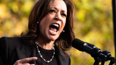 Sondaggisti USA Vedono Harris in Vantaggio: Un'Analisi delle Previsioni Elettorali 8 Harris