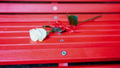 L'Aquila - giornata internazionale per l'eliminazione della violenza sulle donne