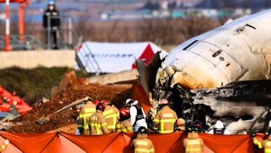 Incidente Aereo in Corea del Sud: Cosa Non Torna nella Tragedia della Jeju Air 4 Incidente Aereo in Corea del Sud: Cosa Non Torna nella Tragedia della Jeju Air