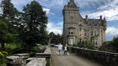 Overtoun Bridge: Il Mistero del Ponte dei Cani Suicidi 1 Overtoun Bridge: Il Mistero del Ponte dei Cani Suicidi
