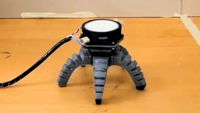 Il Futuro della Robotica: Un Robot Controllato da un Fungo