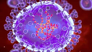 HMPV: Nessun Allarme in Telangana, ma Cosa Significa per la Salute Pubblica?