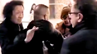 La Figlia di James Senese Sotto i Riflettori: Parcheggia sulle Strisce e Aggredisce Borrelli, 5 Napoli: Parcheggia sulle Strisce e Aggredisce Borrelli, la Figlia di James Senese Sotto i Riflettori