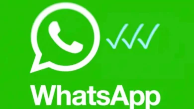 WhatsApp Introduce la Terza Spunta Blu: Ecco a Cosa Serve e Perché Può Essere Importante