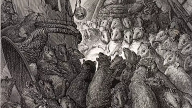 Il Processo ai Topi di Autun: Quando un Avvocato Difese i Roditori e Vinse 10 Il Processo ai Topi di Autun: Quando un Avvocato Difese i Roditori e Vinse