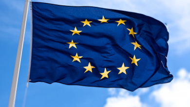 Manifestazione per l’Europa a Roma: Piazza del Popolo si Riempie di Bandiere Blu 6 Manifestazione per l’Europa a Roma: Piazza del Popolo si Riempie di Bandiere Blu