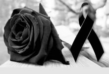 8487d015d73962abaf29376b05879931