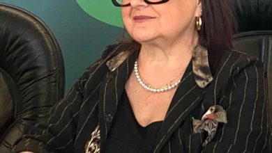 Pezzopane: “Parco delle Acque abbandonato e Notte Bianca senza regole: situazione grave e inaccettabile” 19 Pezzopane: “Parco delle Acque abbandonato e Notte Bianca senza regole: situazione grave e inaccettabile”