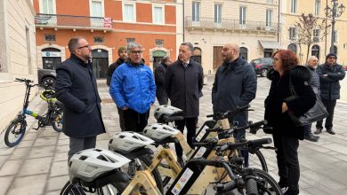 WhatsApp Image 2026 02 04 at 13.56.05