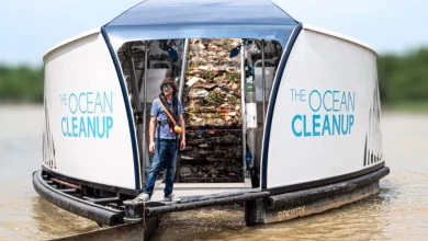 The Ocean Cleanup: 20 Milioni di Chili di Plastica Strappati agli Oceani